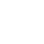 Software Plus Service


